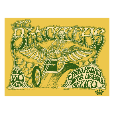 San Pedro Garza García Event (11/20)- STANDARD Poster